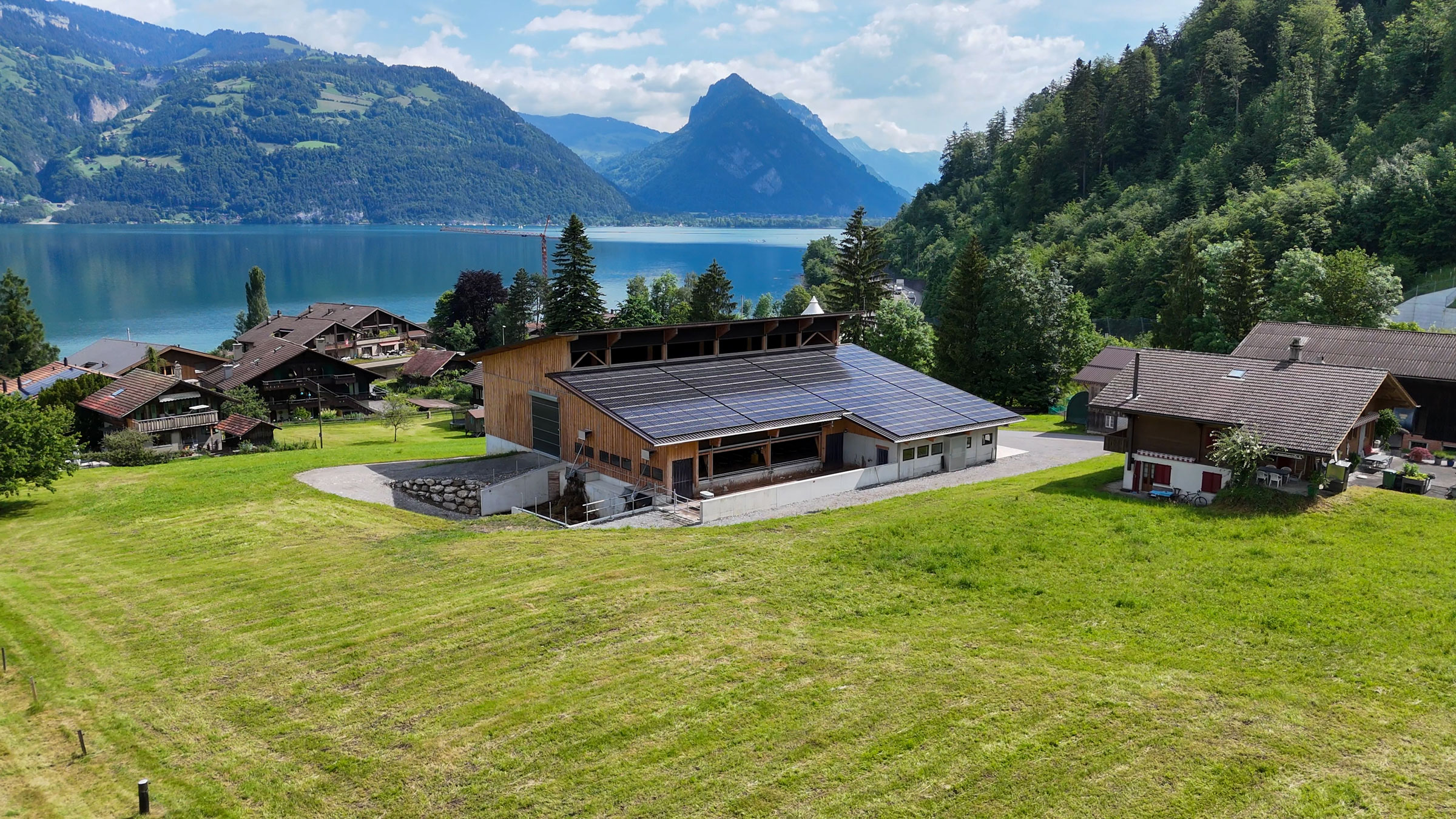 peter-holzbau-ag-header