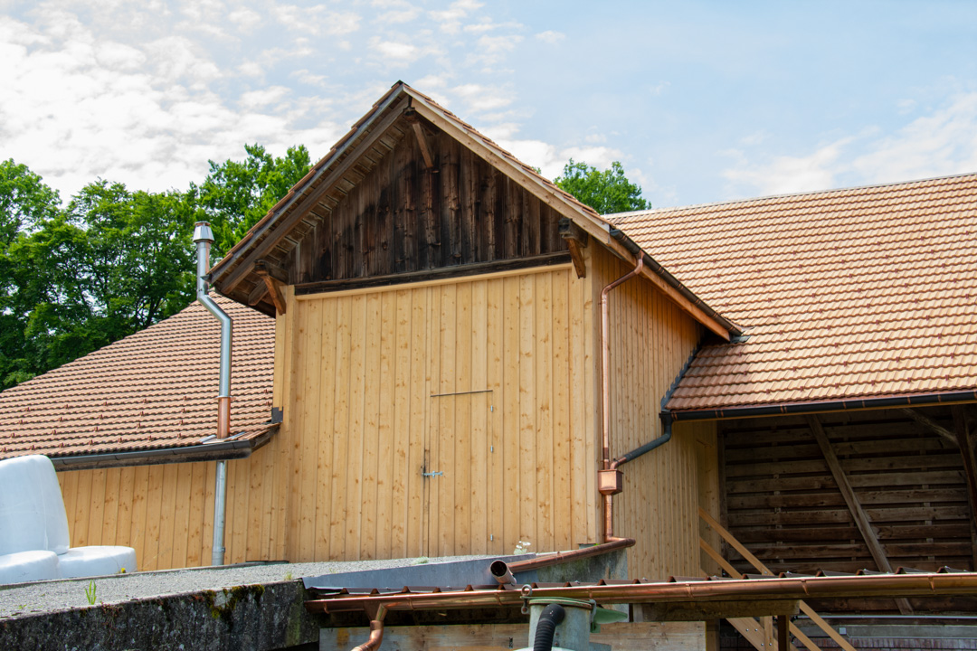 peter_holzbau_holzbau-Zimmerei-21