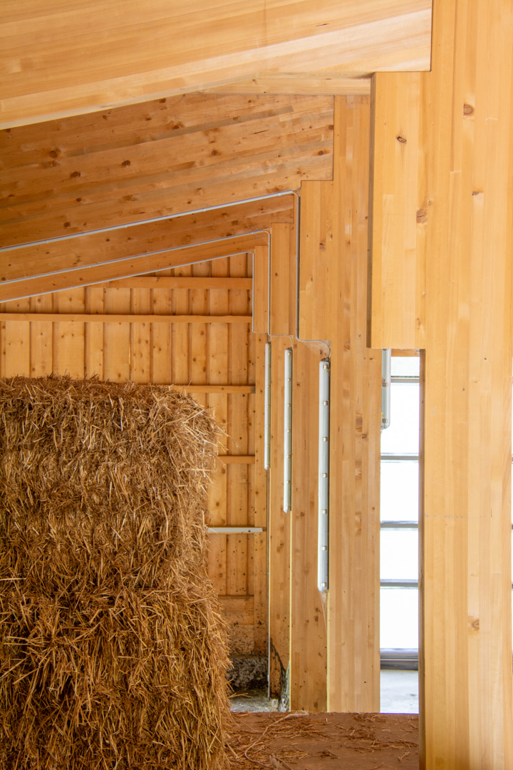 peter_holzbau_holzbau-Zimmerei-4