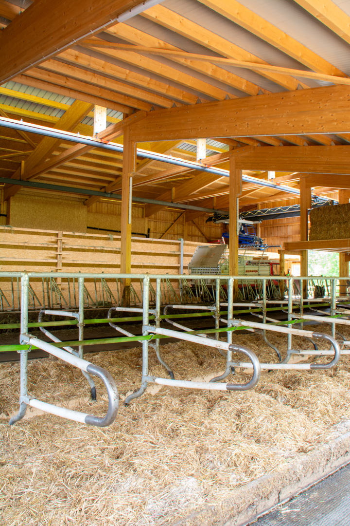 peter_holzbau_holzbau-Zimmerei-5